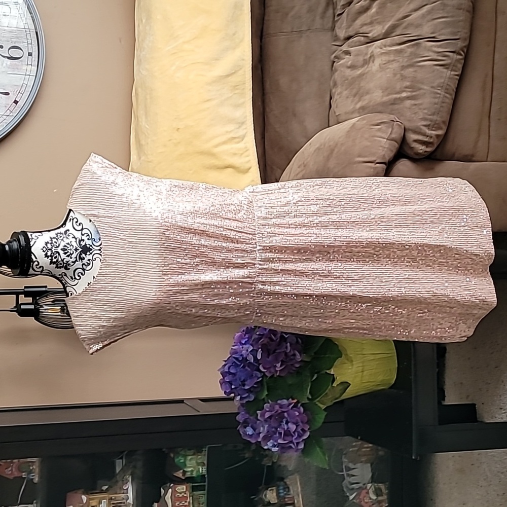 JCREW Cap Sleeve Rose Pink Sequence Dress Size 14